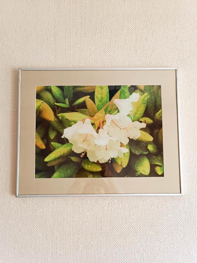 Аpartment In Gudauri Apartment ภายนอก รูปภาพ
